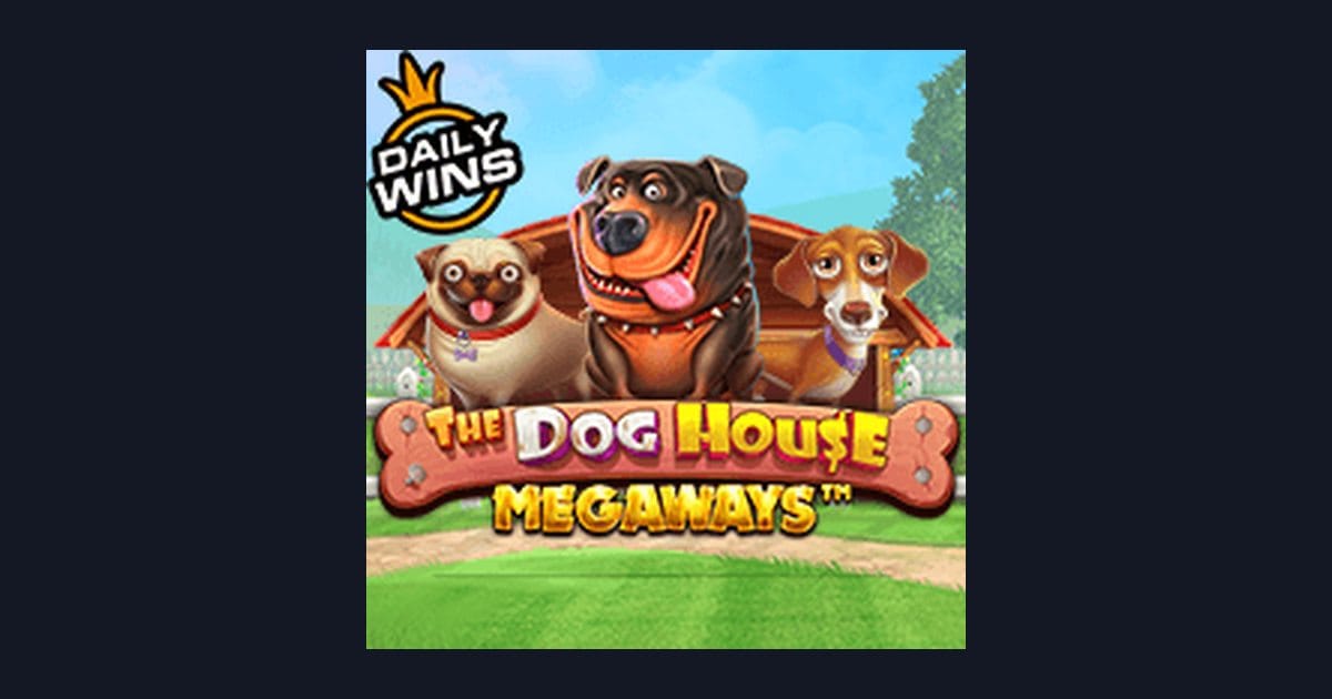 Mengenal Pola Spin Gacor di The Dog House Megaways yang Menguntungkan